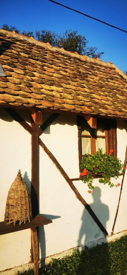 Ferienwohnung Etno Domacinstvo Miris Bosiljka Mislodin Exterior foto