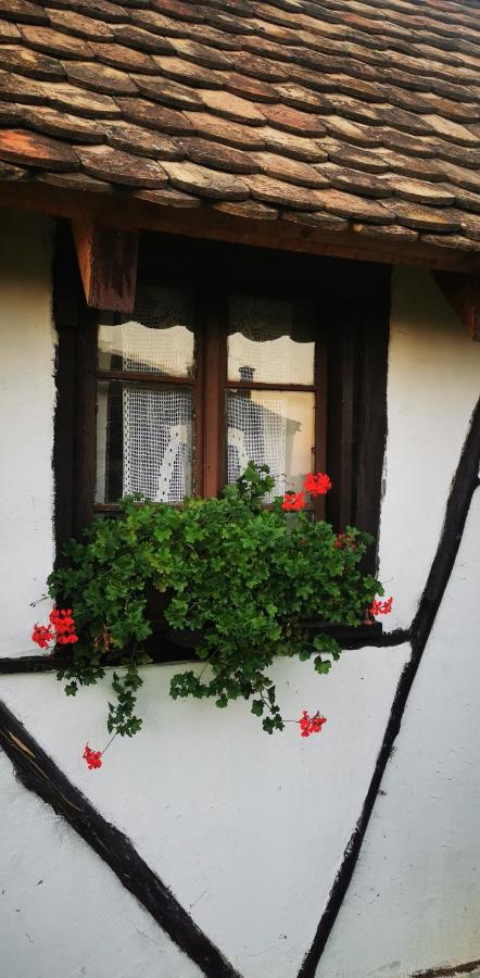 Ferienwohnung Etno Domacinstvo Miris Bosiljka Mislodin Exterior foto